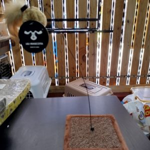 Pelota con pluma colgante